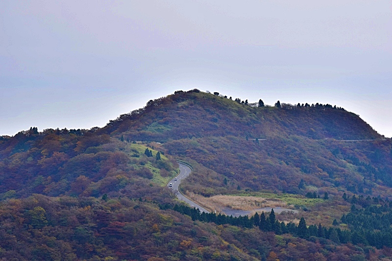 DSC_0346.JPG DSC_0346.JPG