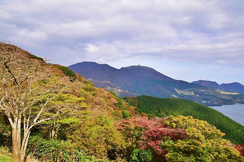 DSC_0353.JPG DSC_0353.JPG
