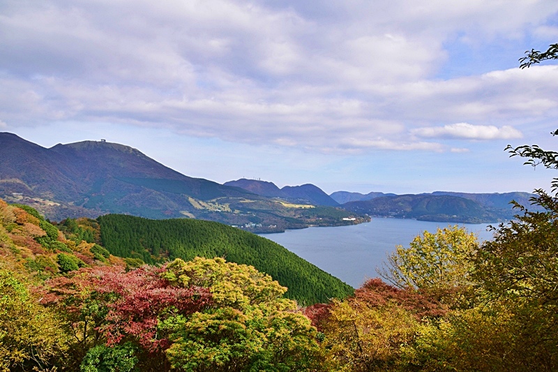DSC_0354.JPG DSC_0354.JPG