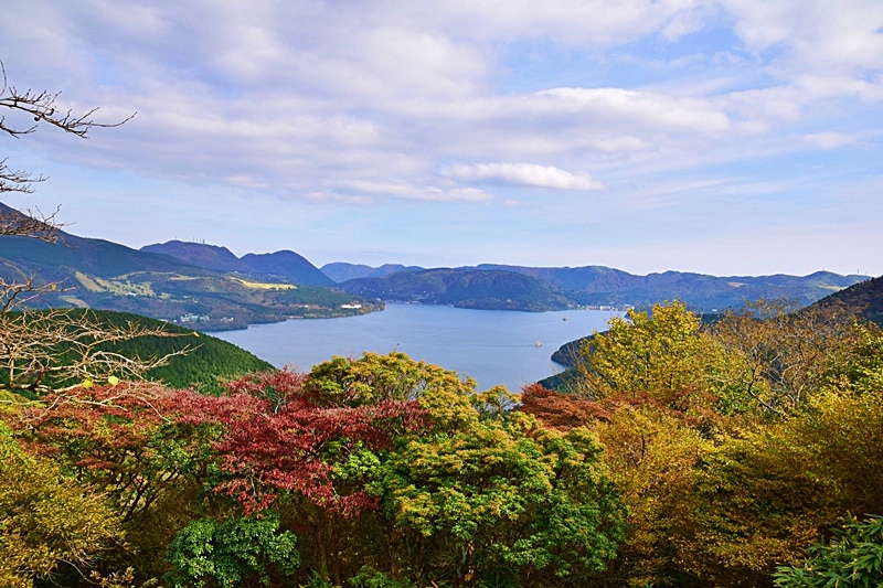 DSC_0358.JPG DSC_0358.JPG