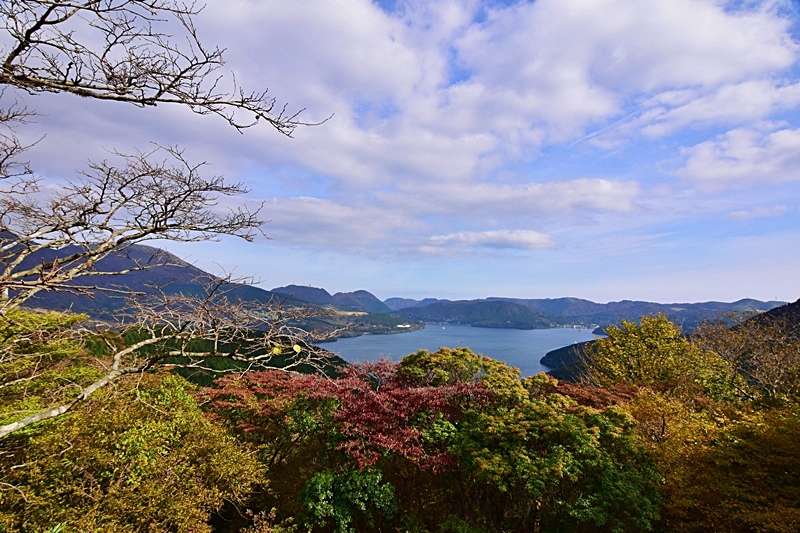 DSC_0365.JPG DSC_0365.JPG