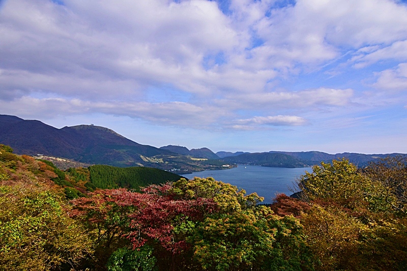 DSC_0368.JPG DSC_0368.JPG