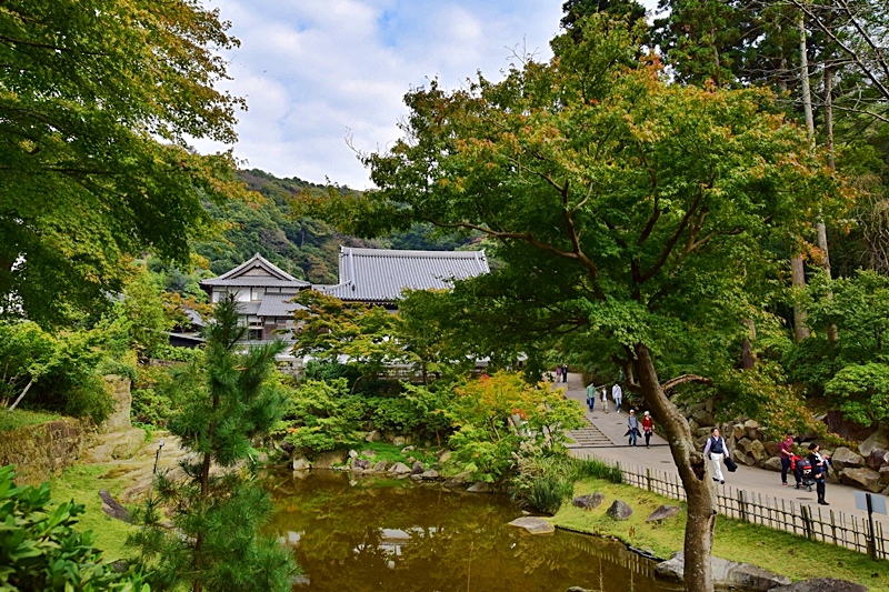 DSC_0412.JPG DSC_0412.JPG