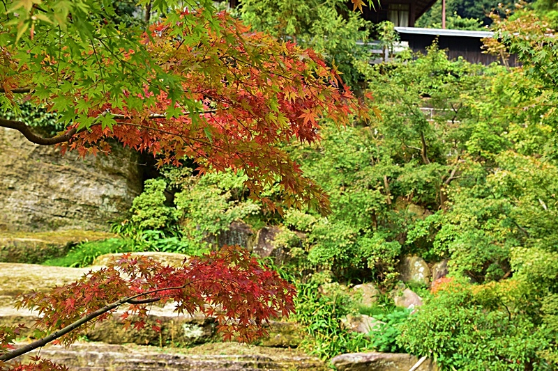 DSC_0416.JPG DSC_0416.JPG