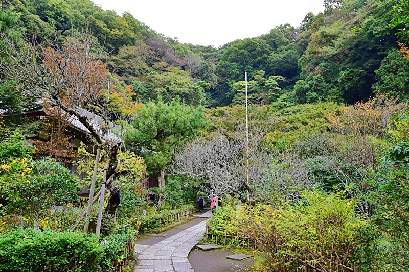 DSC_0425.JPG DSC_0425.JPG