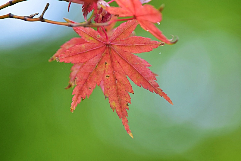 DSC_0461.JPG DSC_0461.JPG
