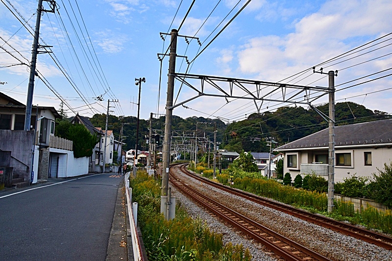 DSC_0508.JPG DSC_0508.JPG