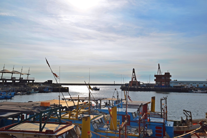 DSC_0868.JPG DSC_0868.JPG