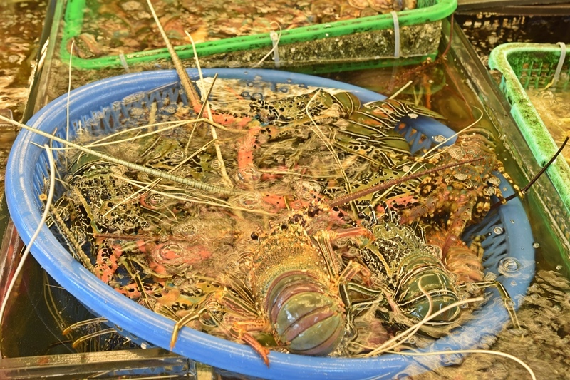 DSC_0889.JPG DSC_0889.JPG