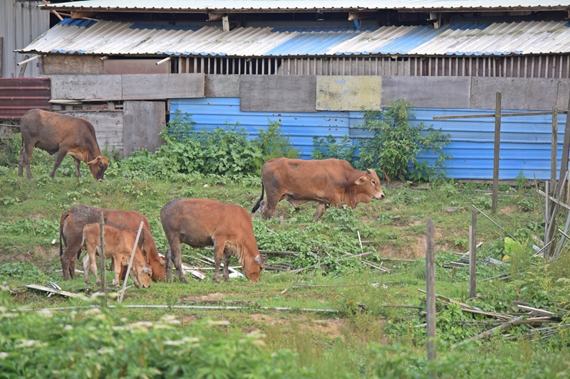 DSC_0921.JPG DSC_0921.JPG