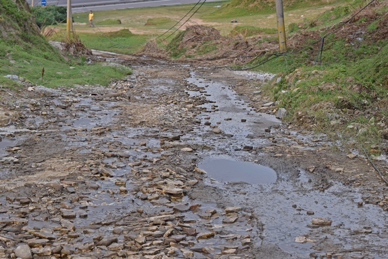 DSC_0959.JPG DSC_0959.JPG