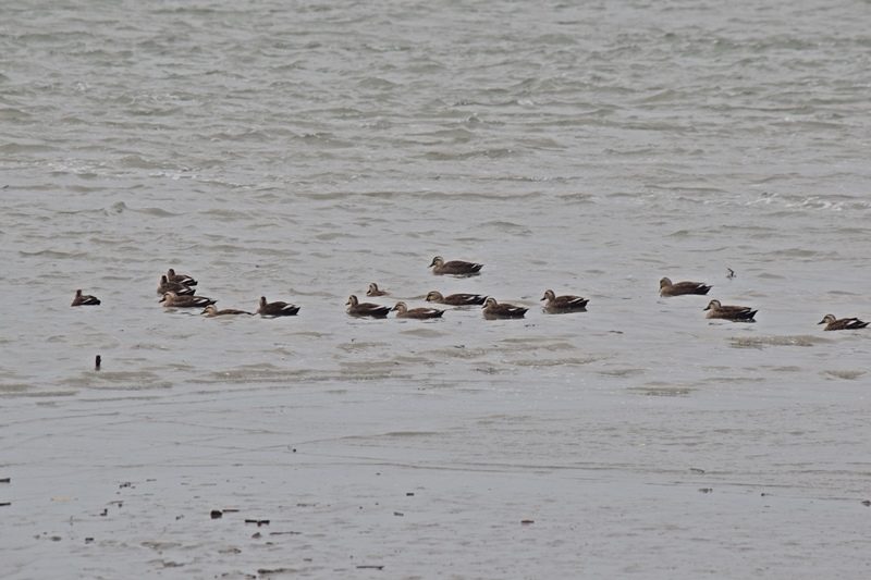 DSC_0322.JPG DSC_0322.JPG