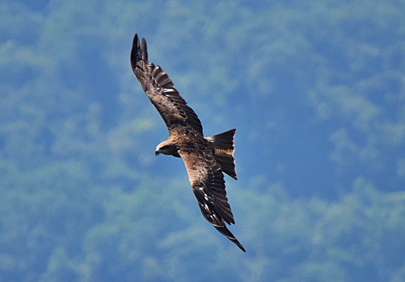 DSC_0023.JPG DSC_0023.JPG
