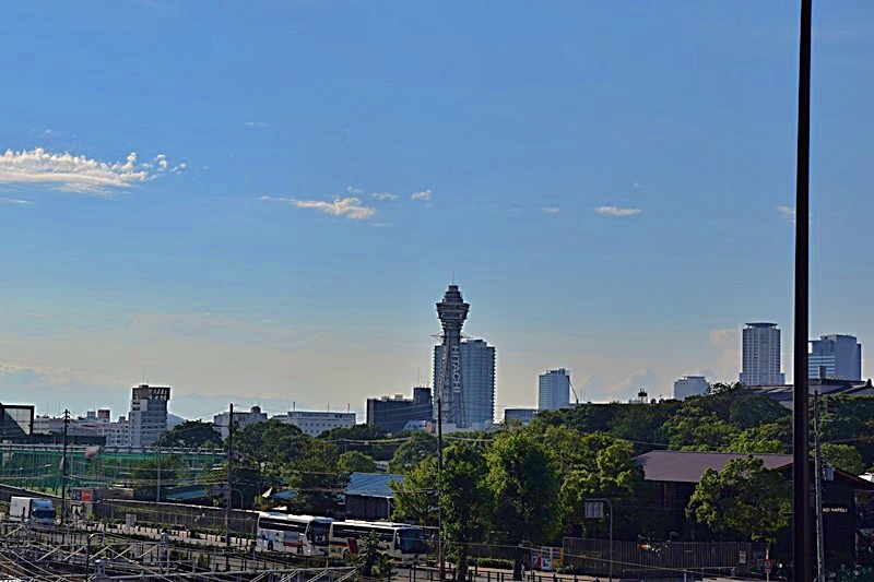 DSC_0581.JPG DSC_0581.JPG