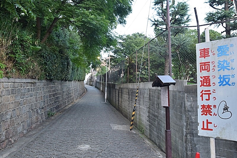 DSC_0599.JPG DSC_0599.JPG