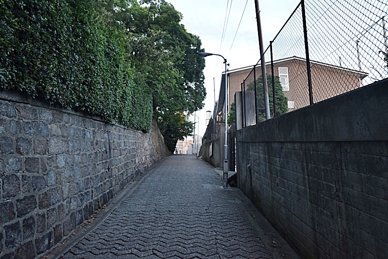 DSC_0600.JPG DSC_0600.JPG