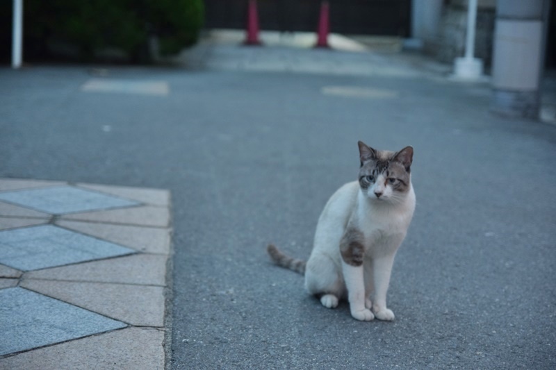 DSC_0602.JPG DSC_0602.JPG