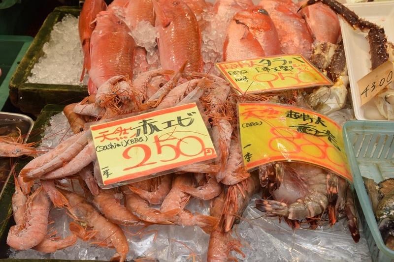 DSC_0296.JPG DSC_0296.JPG