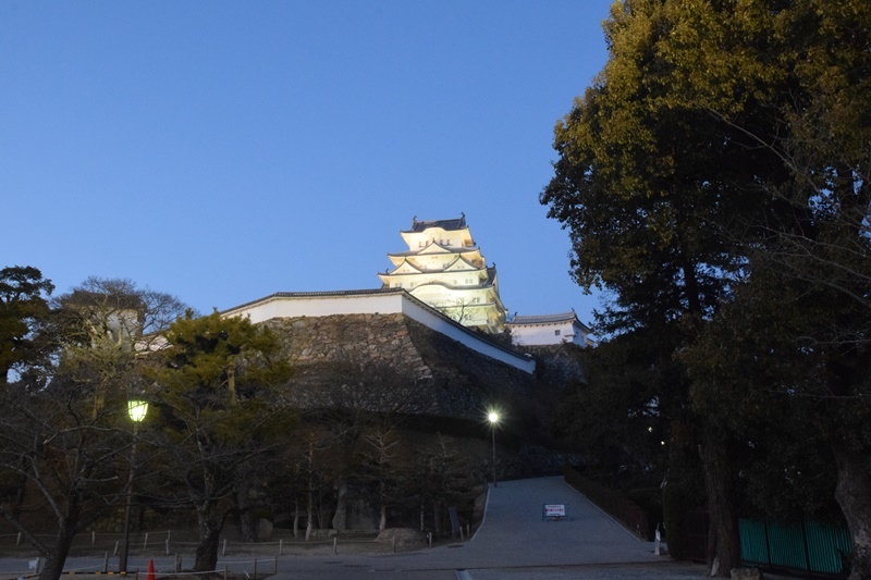 DSC_0331.JPG DSC_0331.JPG