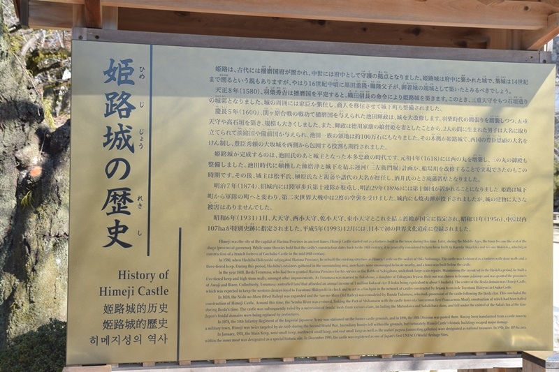 DSC_0376.JPG DSC_0376.JPG