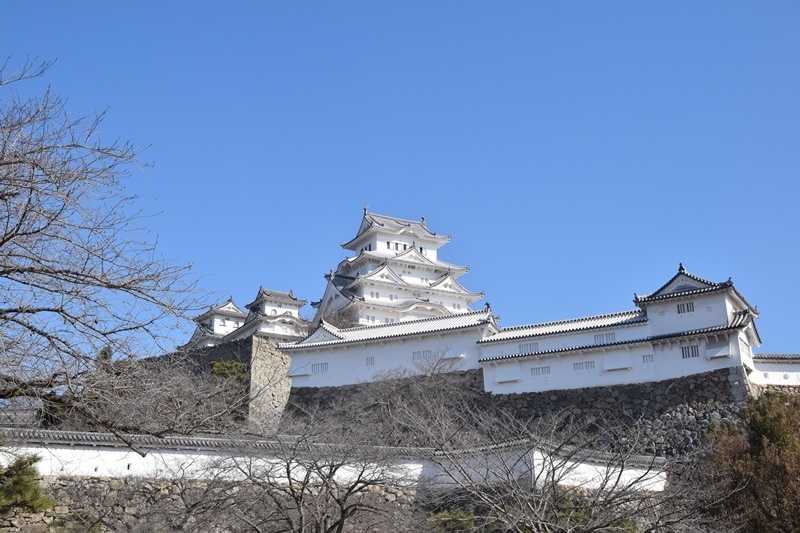 DSC_0374.JPG DSC_0374.JPG