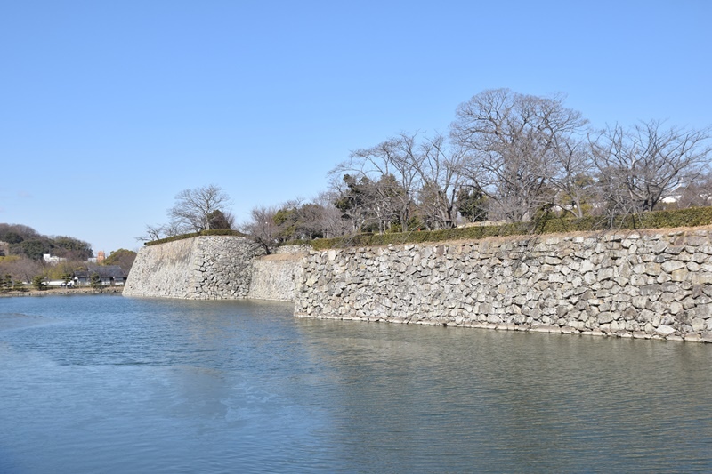 CSC_0393.JPG CSC_0393.JPG