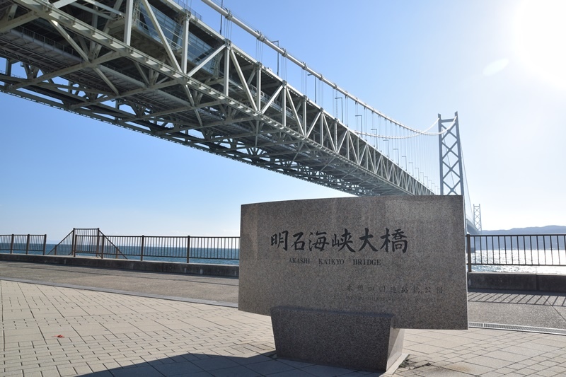 DSC_0398.JPG DSC_0398.JPG