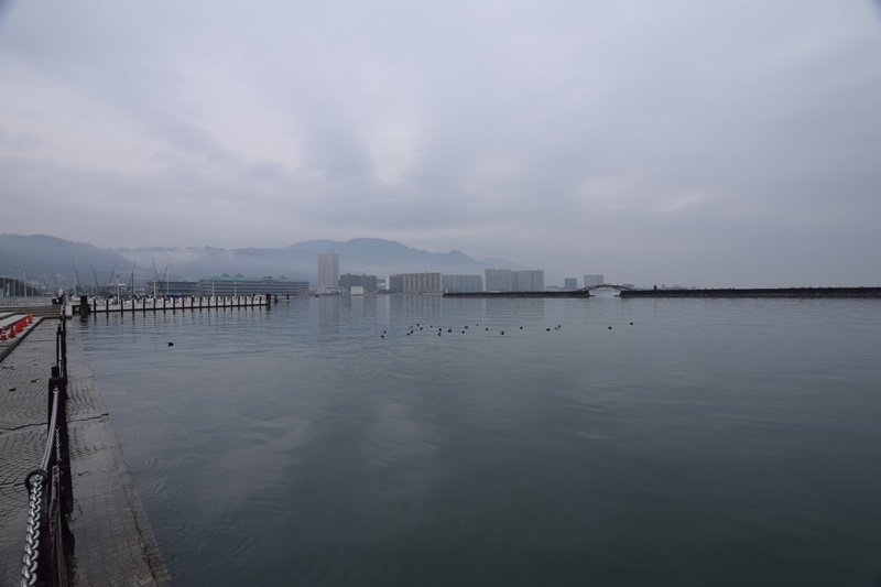 DSC_0741.JPG DSC_0741.JPG