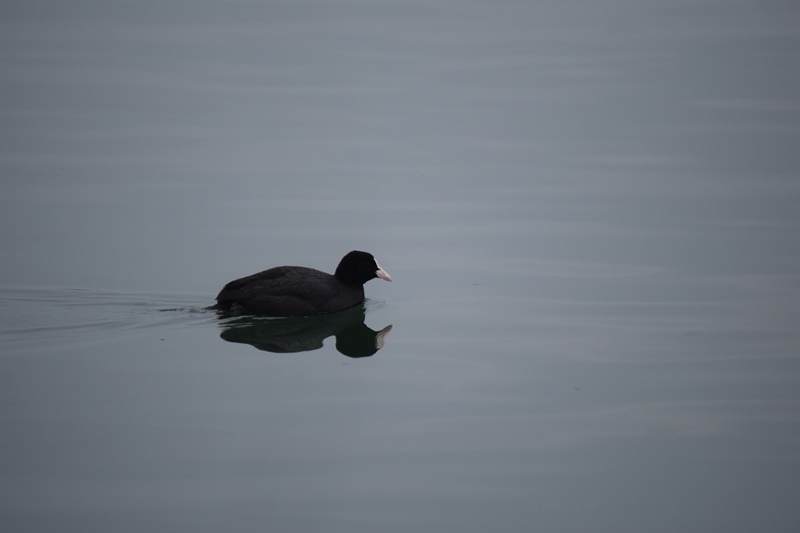 DSC_0752.JPG DSC_0752.JPG