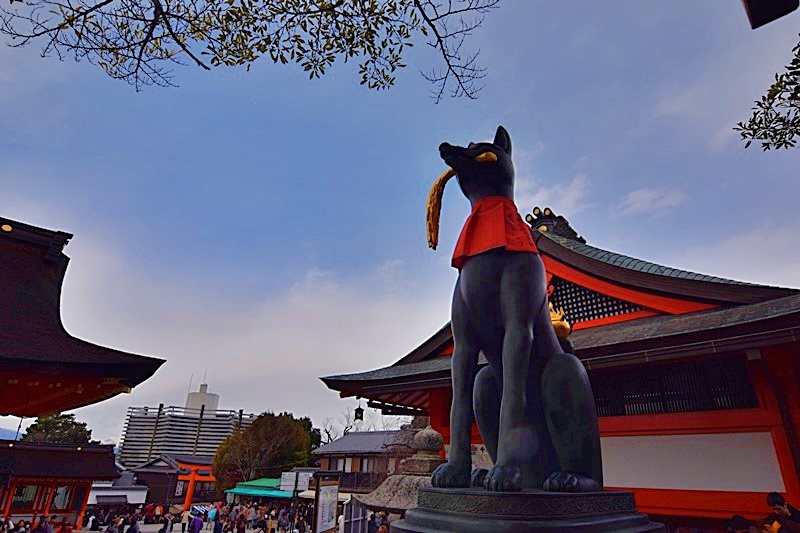 DSC_0800.JPG DSC_0800.JPG