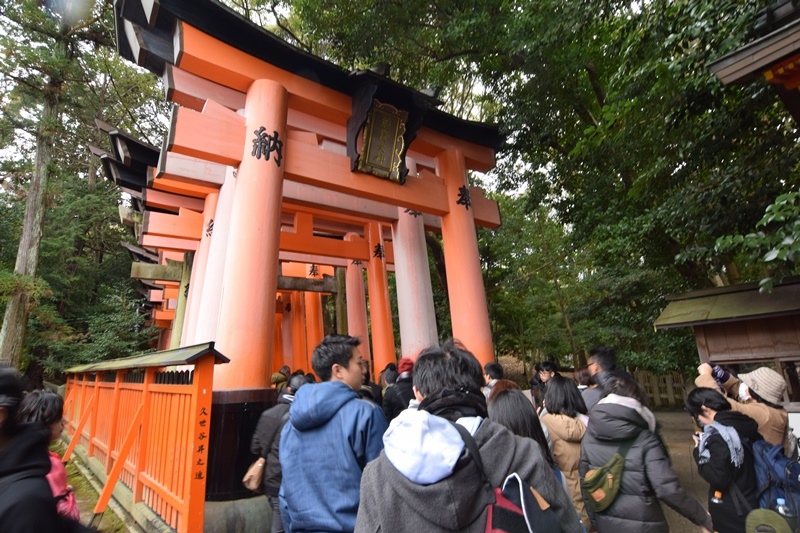 DSC_0816.JPG DSC_0816.JPG