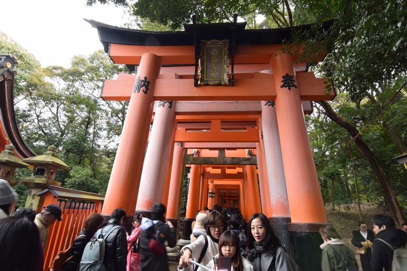 DSC_0820.JPG DSC_0820.JPG