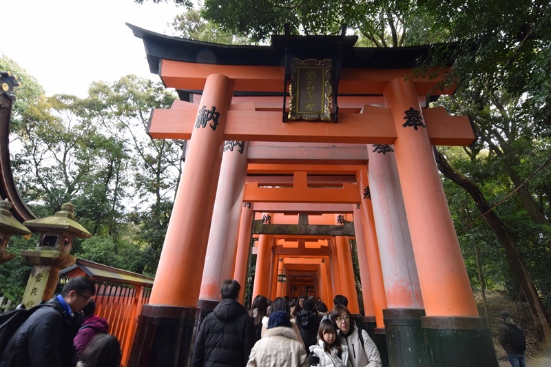 DSC_0824.JPG DSC_0824.JPG
