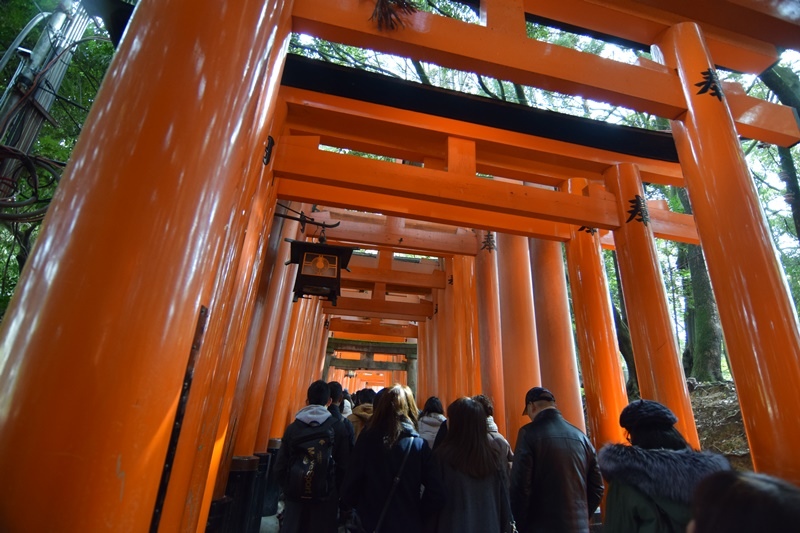 DSC_0832.JPG DSC_0832.JPG