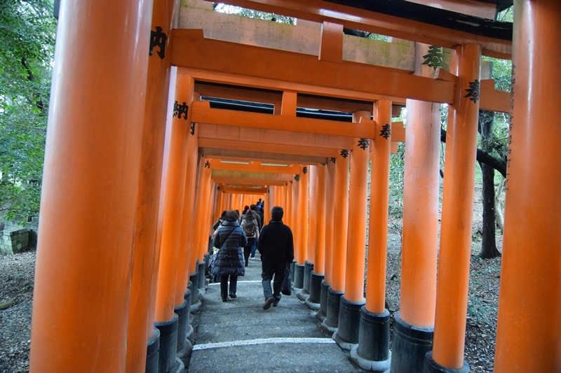 DSC_0843.JPG DSC_0843.JPG