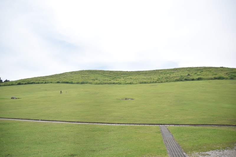 DSC_0137.JPG DSC_0137.JPG