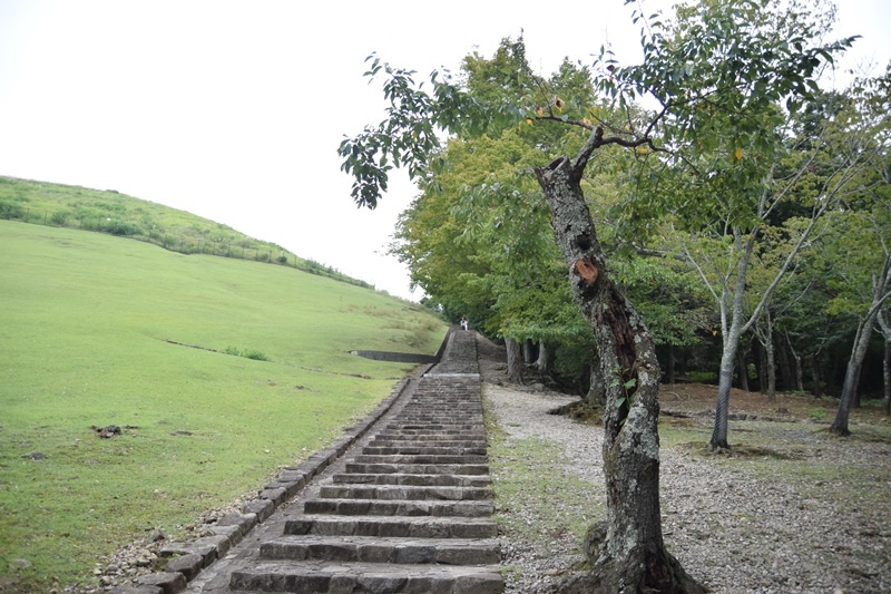 DSC_0140.JPG DSC_0140.JPG