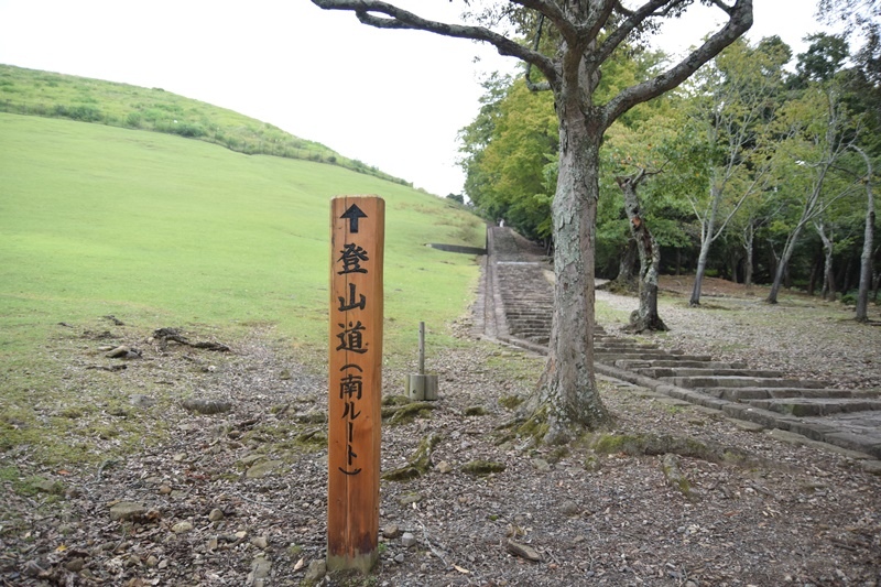 DSC_0139.JPG DSC_0139.JPG