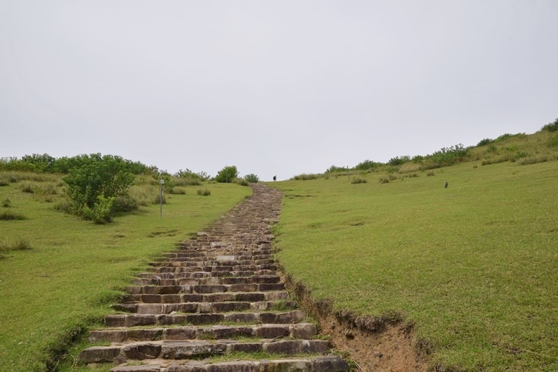 DSC_0143.JPG DSC_0143.JPG