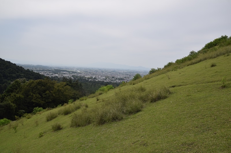 DSC_0144.JPG DSC_0144.JPG