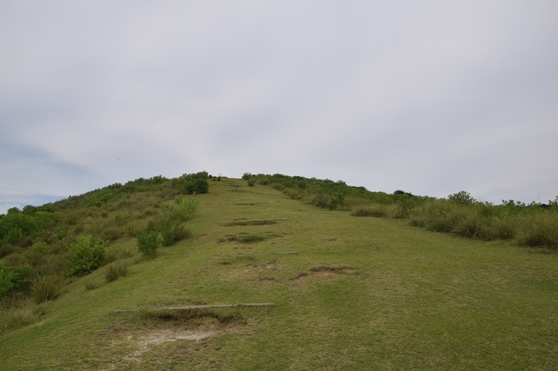 DSC_0163.JPG DSC_0163.JPG