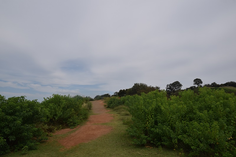 DSC_0166.JPG DSC_0166.JPG