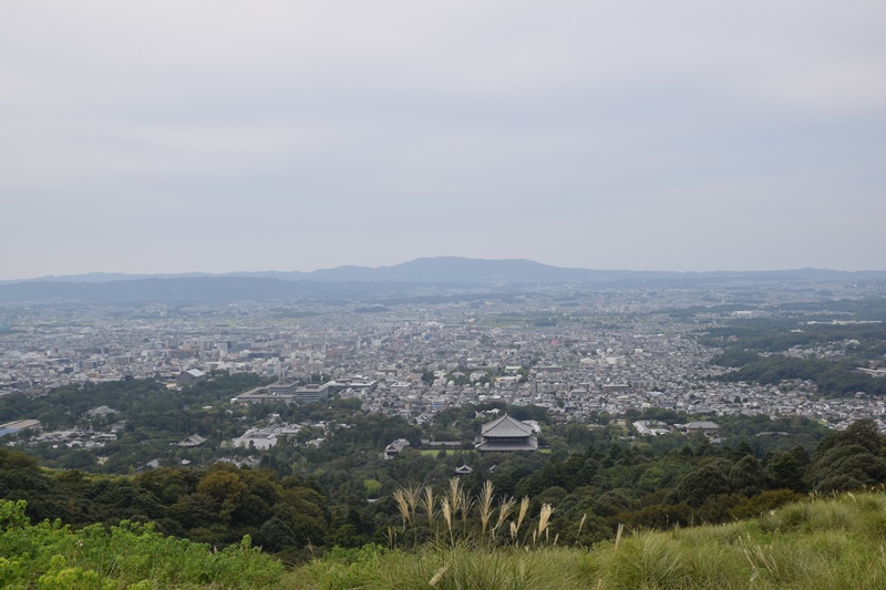 DSC_0170.JPG DSC_0170.JPG