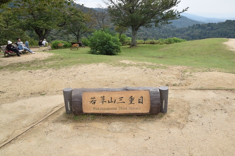DSC_0180.JPG DSC_0180.JPG
