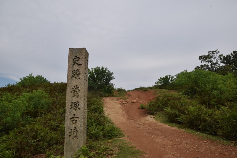 DSC_0202.JPG DSC_0202.JPG