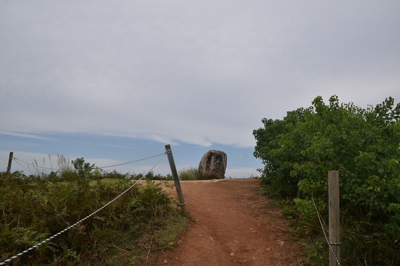 DSC_0200.JPG DSC_0200.JPG
