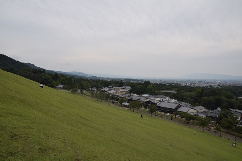 DSC_0210.JPG DSC_0210.JPG
