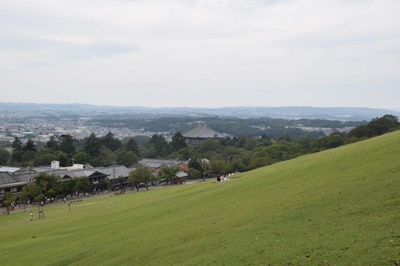 DSC_0217.JPG DSC_0217.JPG