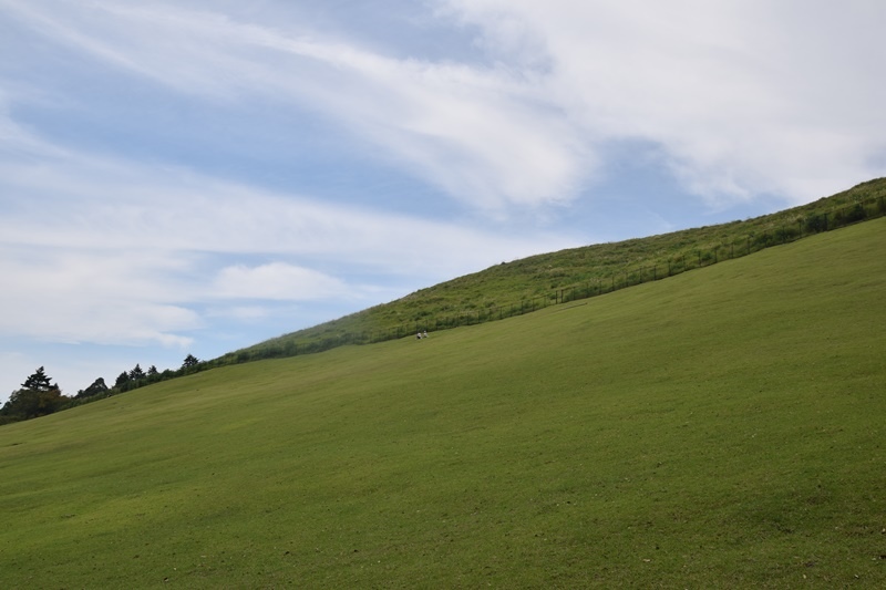 DSC_0223.JPG DSC_0223.JPG