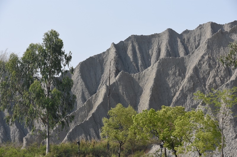 DSC_0465.JPG DSC_0465.JPG
